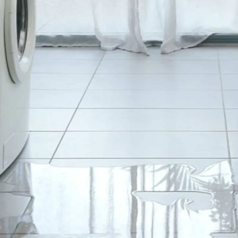 Appliance Leak Cleanup in Seminole, FL